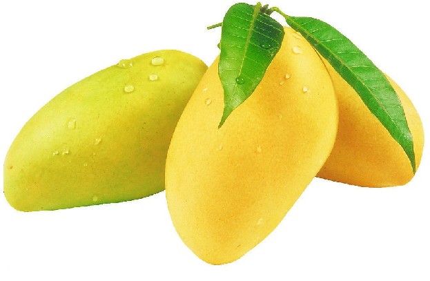 ҼҼ͵ѡþƷâ